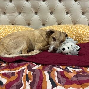 Meet your Posher, Fan